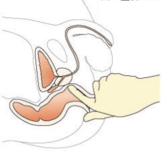 ��й����Ƥ����