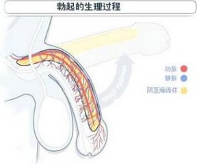ΪʲôԹ쳣