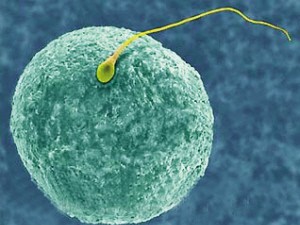 ���ӻ���0��ͼƬ