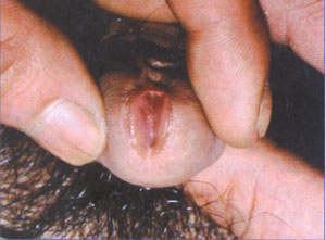 �Ϻ���ҽ����ҽԺ